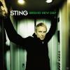 Sting Brand New Day Pop CD