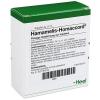 Hamamelis-Homaccord® Ampu
