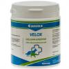 Canina® Velox Gelenk-Ener...