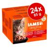 Sparpaket IAMS Delights 2...