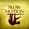 VARIOUS - Slow Motion - (
