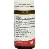 Parathyreoidea/aurum Globuli