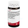 Wala® Magnesium phosphori...