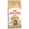 Royal Canin Maine Coon Ad