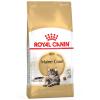 Royal Canin Maine Coon Ad
