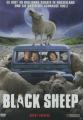 BLACK SHEEP (UNCUT) - (DVD)