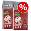 Sparpaket Briantos 2 x Großgebinde - Adult Active 