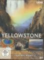 Yellowstone - Legendäre Wildnis - (DVD)