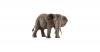 Schleich 14761 Wild Life: Afrikanische Elefantenku