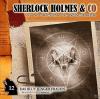 Sherlock Holmes & Co 12: Das Blut junger Frauen - 