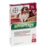 Advantage® 250 für Hunde 