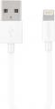 deleyCon Lightning zu USB...