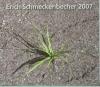 Erich Schmeckenbecher - R...