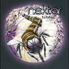 Nektar - Fortyfied - (CD)
