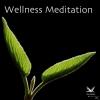 VARIOUS - Wellness Medida...