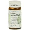 Agnus castus Phcp®