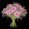 Daydream - Fleurop Blumenversand