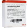 Pulpa dentis suis-Injeel®