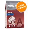 Jetzt probieren: 3 kg Briantos Trockenfutter zum T