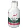 Pillquan® Digest Vital