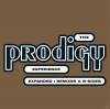 The Prodigy - Experience/