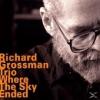 Richard Grossman Trio - W...