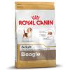 Royal Canin Beagle Adult - 12 kg