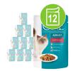 Sparpaket Purina One Adul