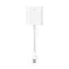 Apple Mini DisplayPort-au...