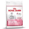 Royal Canin Medium Starter Mother & Babydog - 12 k