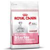 Royal Canin Medium Starte