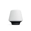 Philips Hue White Ambianc