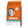 IAMS Pro Active Health Ad