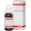 DHU Xanthium Spinosum D2