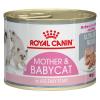 Royal Canin Babycat - 12 