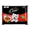 Cesar Feines im Frischbeu...