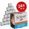 Sparpaket Schesir Natural...