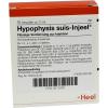Hypophysis SUIS Injeel Am...