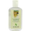Sauna Essenz Eucalyptus