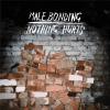 Male Bonding - Nothing Hu