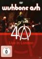 Wishbone Ash - 40th Anniv...