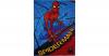 Kinderteppich Spider-Man,