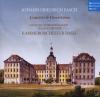 Julia Kammerorchester Basel & Schröder, Kammerorch