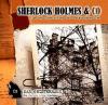 Sherlock Holmes & Co 01: Das Geisterhaus - 1 CD - 
