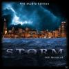 The Johnson - Storm - The Musical - (CD)