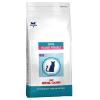 Royal Canin Skin Young Fe...