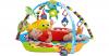 Baby Einstein Unterwasserwelt Spielmatte mit Bogen