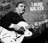 T-Bone Walker - Trailblaz...