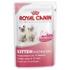 Royal Canin Kitten in Soße - 48 x 85 g