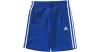 Essentials Trainingsshort...